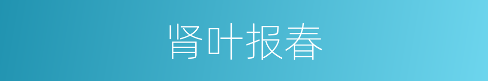 肾叶报春的同义词