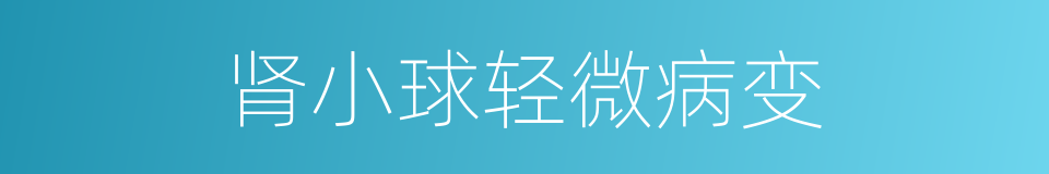 肾小球轻微病变的同义词