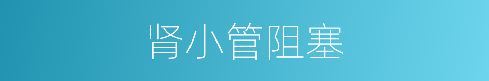 肾小管阻塞的同义词