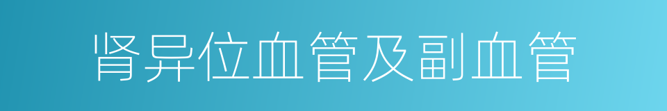 肾异位血管及副血管的同义词