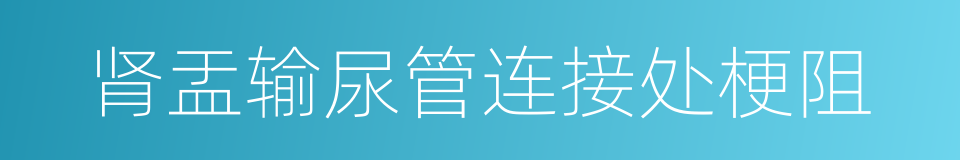 肾盂输尿管连接处梗阻的同义词