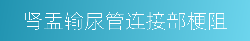 肾盂输尿管连接部梗阻的同义词