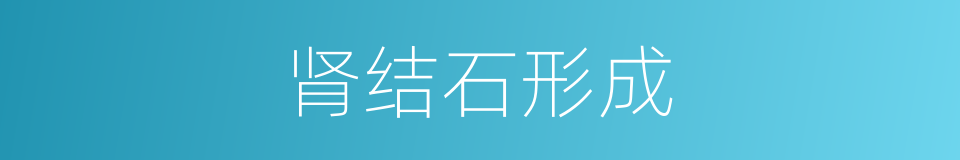肾结石形成的同义词