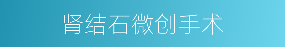 肾结石微创手术的同义词
