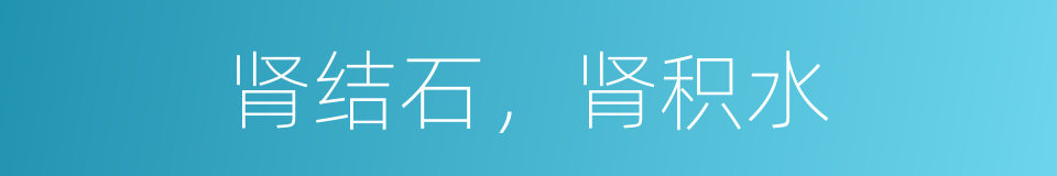 肾结石，肾积水的同义词