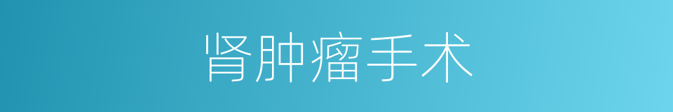 肾肿瘤手术的同义词