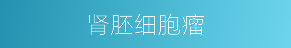 肾胚细胞瘤的同义词