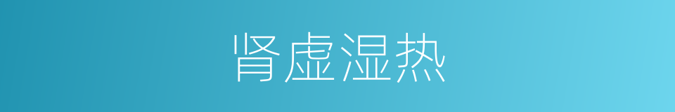 肾虚湿热的同义词