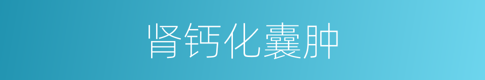 肾钙化囊肿的同义词