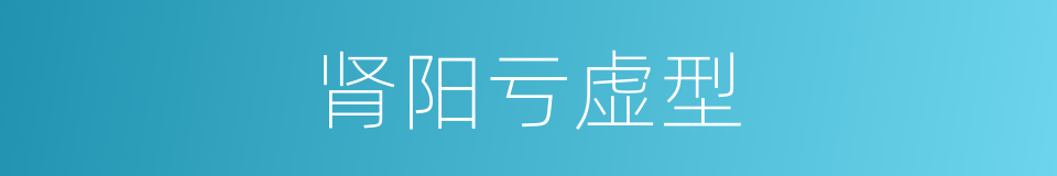 肾阳亏虚型的同义词