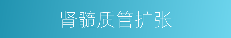 肾髓质管扩张的同义词