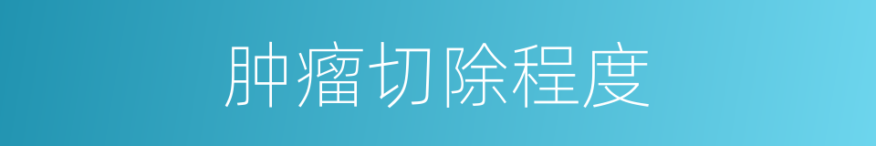 肿瘤切除程度的同义词