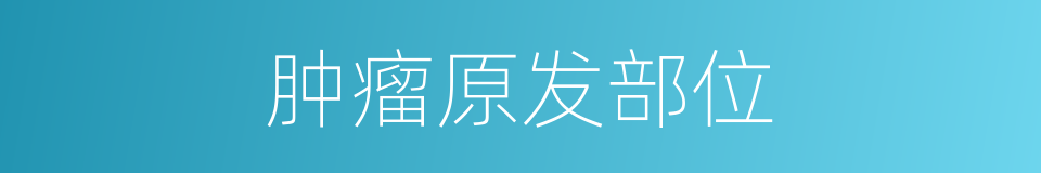 肿瘤原发部位的同义词
