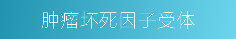 肿瘤坏死因子受体的同义词