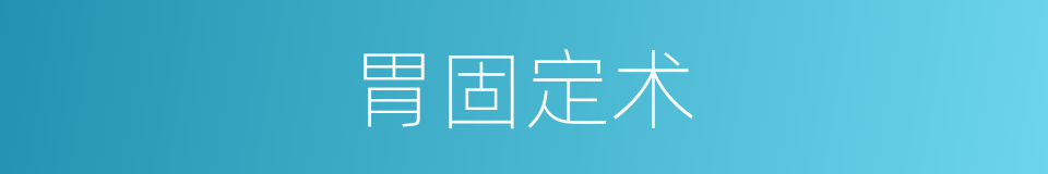 胃固定术的同义词