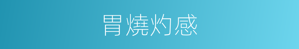胃燒灼感的同義詞