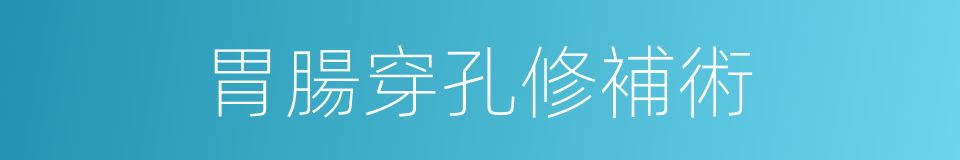 胃腸穿孔修補術的同義詞