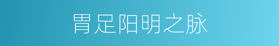 胃足阳明之脉的同义词