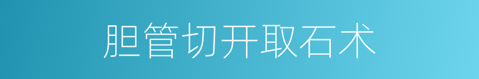 胆管切开取石术的同义词