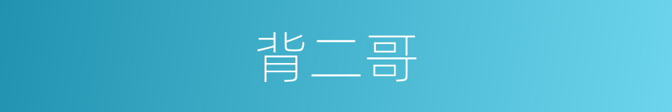 背二哥的同义词