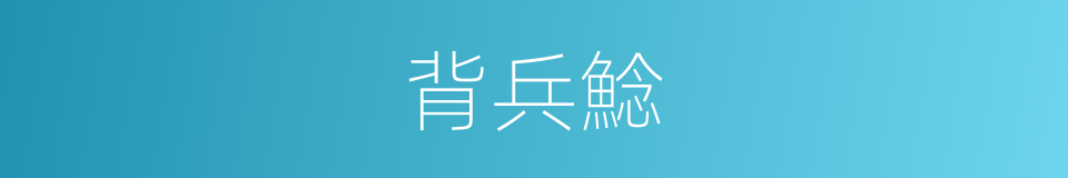 背兵鯰的同義詞