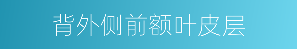背外侧前额叶皮层的同义词