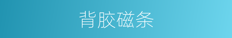 背胶磁条的同义词