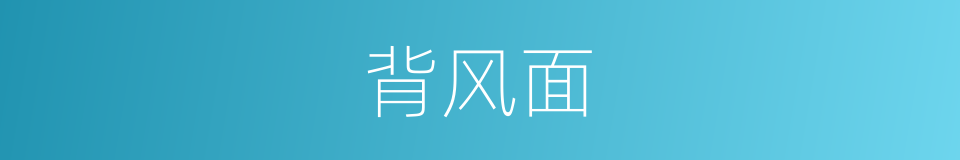 背风面的意思