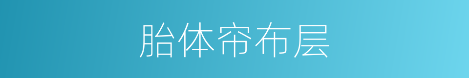 胎体帘布层的同义词