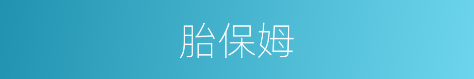 胎保姆的同义词