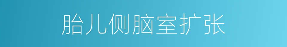 胎儿侧脑室扩张的同义词
