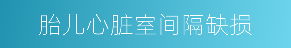 胎儿心脏室间隔缺损的同义词