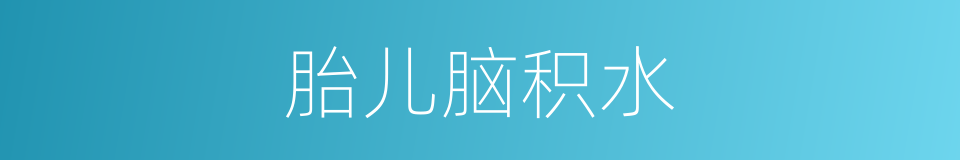 胎儿脑积水的同义词