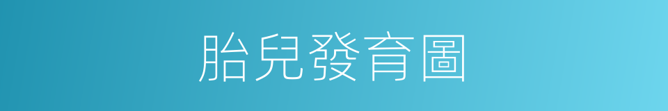 胎兒發育圖的同義詞