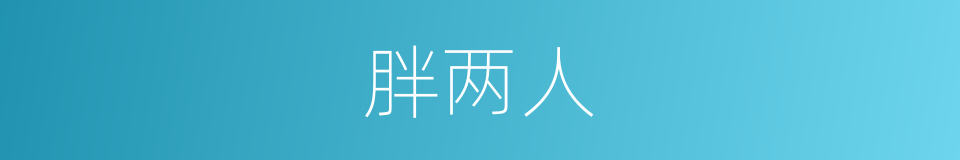 胖两人的同义词