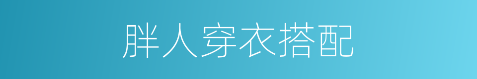 胖人穿衣搭配的同义词