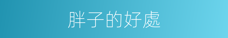 胖子的好處的同義詞