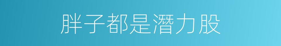 胖子都是潛力股的同義詞