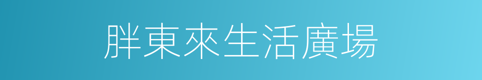 胖東來生活廣場的同義詞