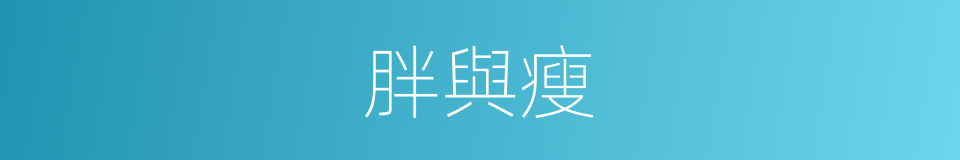 胖與瘦的同義詞