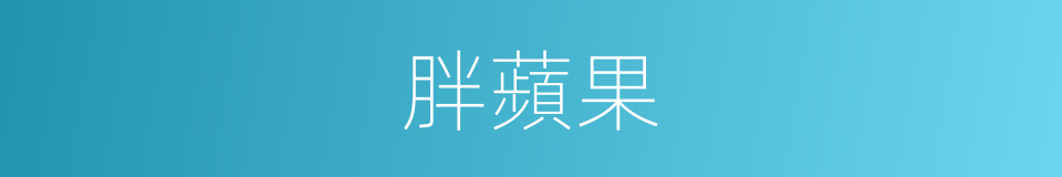 胖蘋果的同義詞