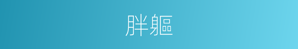 胖軀的同義詞