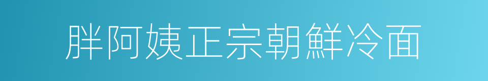 胖阿姨正宗朝鮮冷面的同義詞