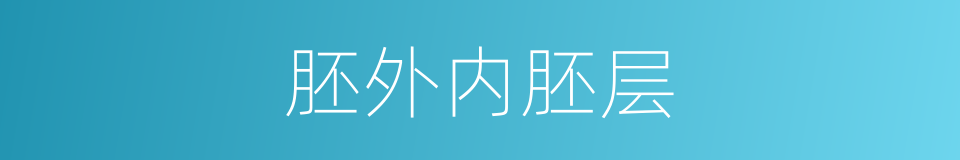 胚外内胚层的同义词