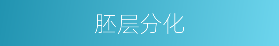 胚层分化的同义词