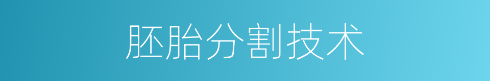 胚胎分割技术的同义词
