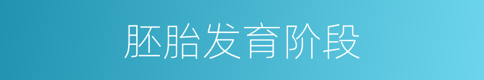 胚胎发育阶段的同义词