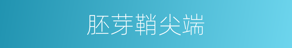 胚芽鞘尖端的同义词