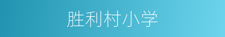 胜利村小学的同义词