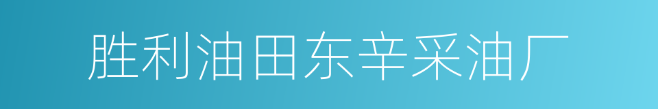 胜利油田东辛采油厂的同义词